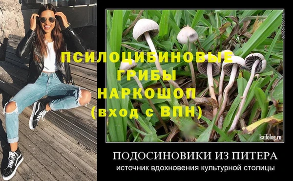 a pvp Бугульма
