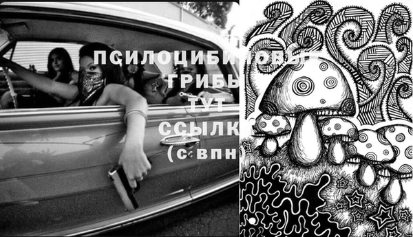 a pvp Бугульма