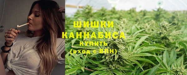 соль ск Бронницы
