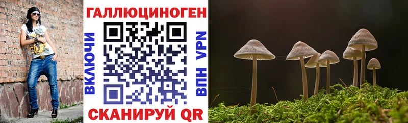 Галлюциногенные грибы прущие грибы  купить закладку  Ворсма 